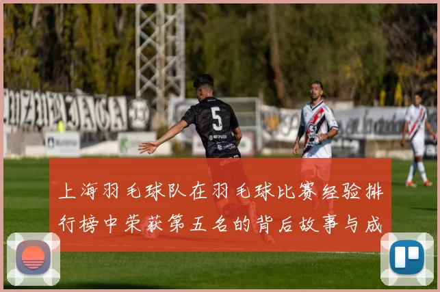 上海羽毛球队在羽毛球比赛经验排行榜中荣获第五名的背后故事与成就分析