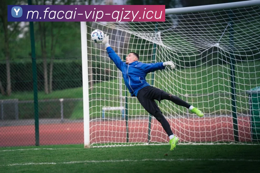 星空体育注册平台生态图